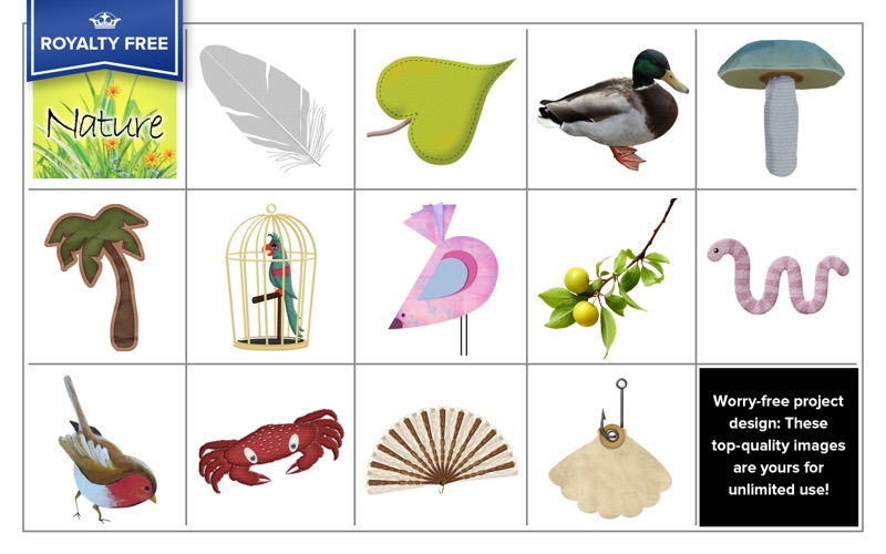 RF Nature Image Collection thumbnail 3