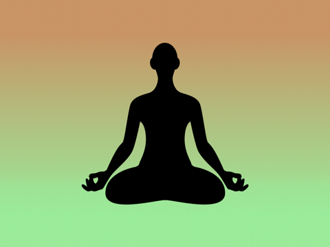 Screenshot #5 pour Sounds of India - Music for Yoga, Meditation and Relaxation