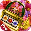 Lush Carnation Pro: A Flower Farm in a Multi Wheel Spin Slots