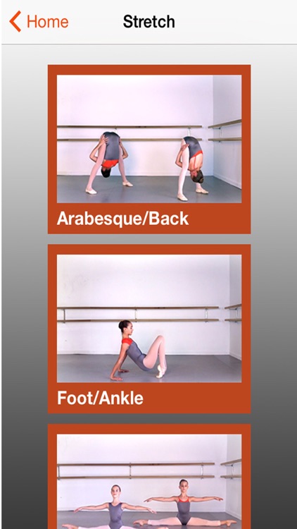 Ballet Elasticity screenshot-3