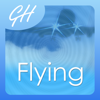 Overcome The Fear of Flying by Glenn Harrold - Diviniti Publishing Ltd