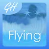 Overcome The Fear of Flying by Glenn Harrold Positive Reviews, comments