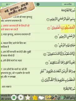 Hindi Quran Majeed iPad image 2