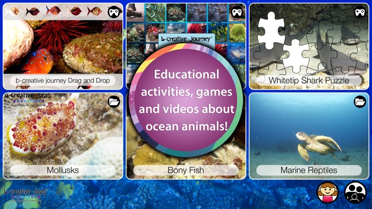 Ocean Animal Learning - Educational Games, Books and Videos about Marine Life by b-creative Journey