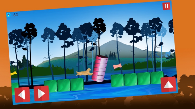 Dog Agility 2 : The dressage race contest - Free