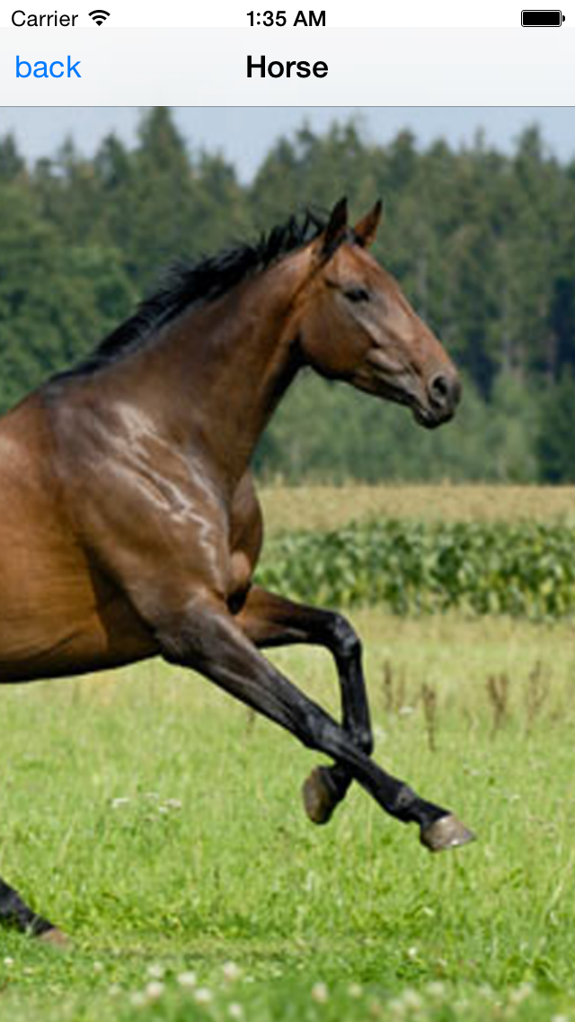 Screenshot #3 pour ANIMAL SOUNDBOARD SOUNDS