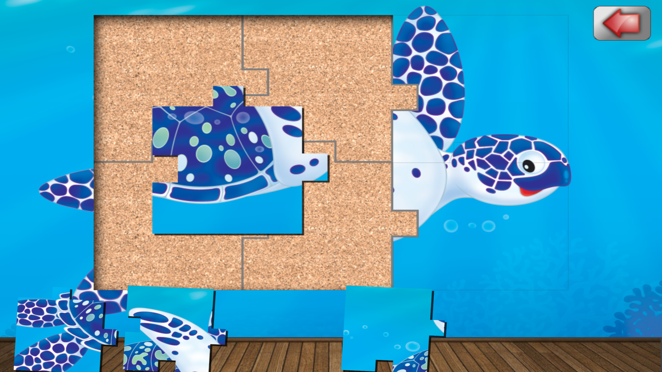 Ocean Animals