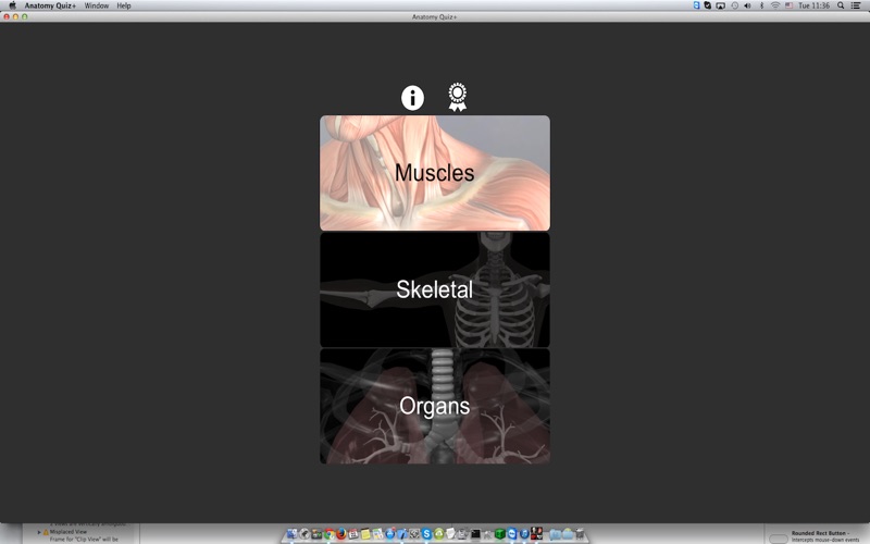 anatomy quiz+ iphone screenshot 1