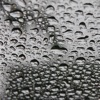 Real Rain Relaxing Sounds for Concentration and Focus - iPhoneアプリ