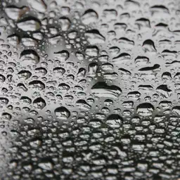 Real Rain Relaxing Sounds for Concentration and Focus app icon