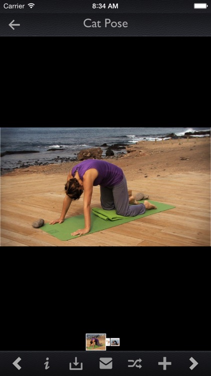 Yoga Poses Collection Pro