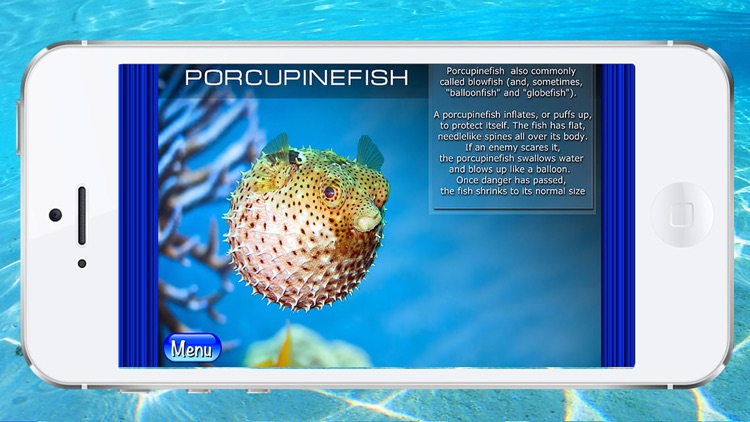 Ocean - The encyclopedia of the sea animals for kids and parents. Children's book and coloring games. Free version.