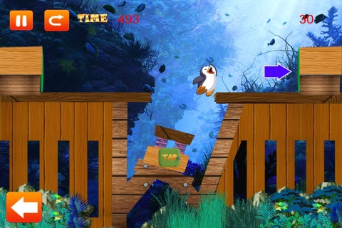 Penguin Plunge - Happy Water Maze Quest Free screenshot 4