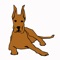 There have been times when you as a dog owner becomes increasingly frustrated