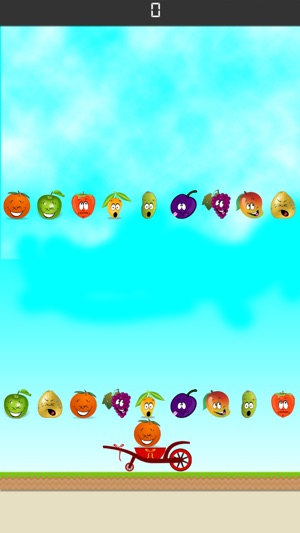 Funny Alike Fruits