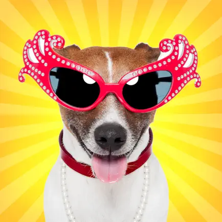 Guess the Dog - Free Breed Photo Quiz Game Cheats