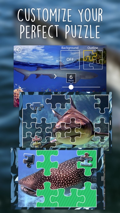 Screenshot #1 pour Casse-Tête De Requin Pour La Collecte Des Enfants Étonnant De Puzzle