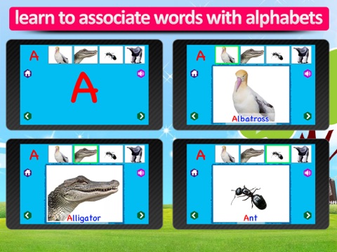Animal alphabet for kids, Learn Alphabets with animal sounds and pictures for preschoolers and toddlersのおすすめ画像4