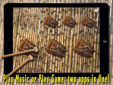 African Balafon Fun! - HD PRO screenshot 3