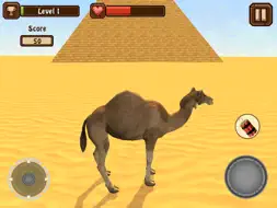 Camel Simulator screenshot 7