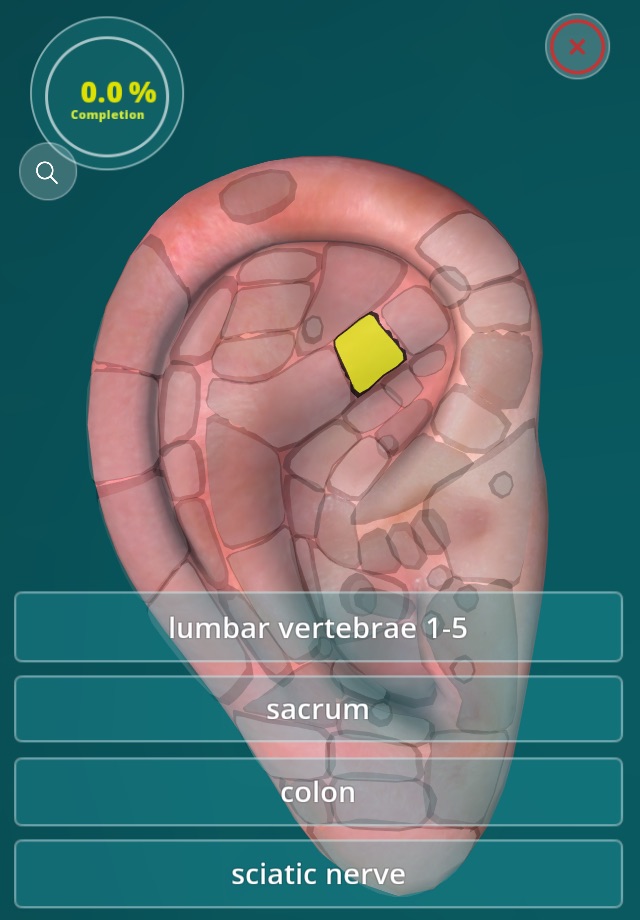 Reflexology Quiz - zones screenshot 3