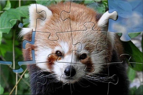 JIGSAW PUZZLEs Nuremberg ZOO for preschool children, schoolchildren and adults screenshot 2