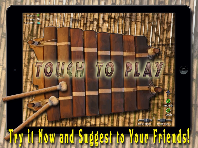 African Balafon Fun! - HD PRO screenshot-3