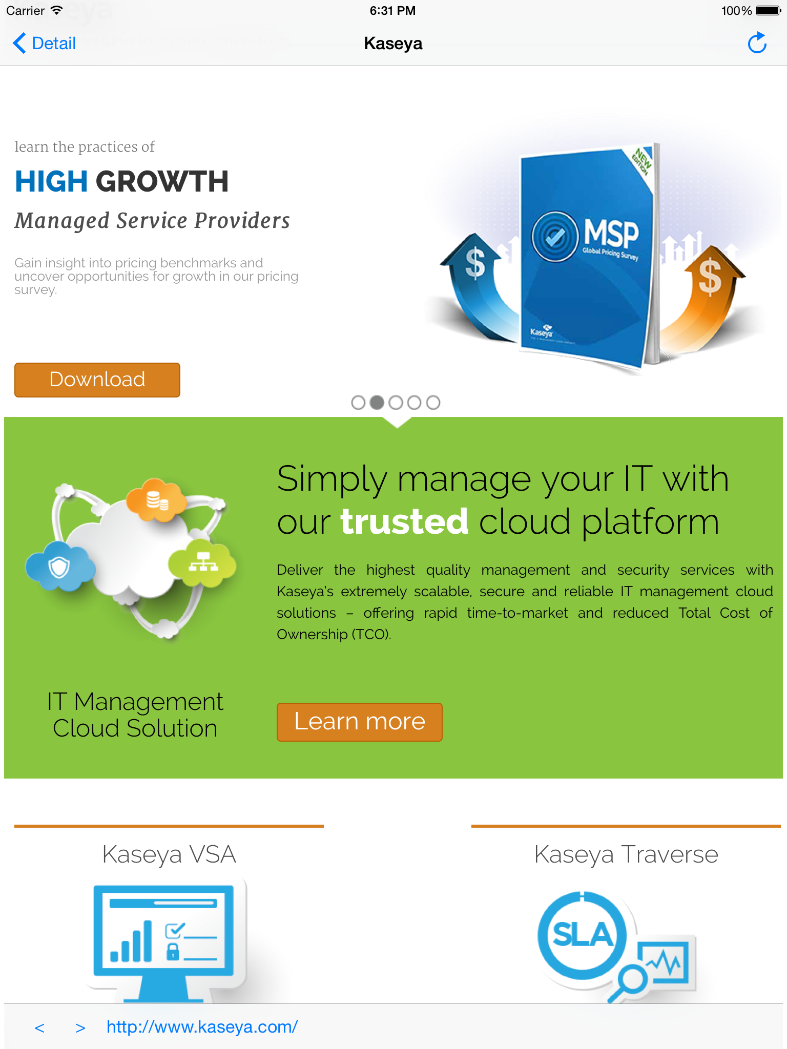 Kaseya WorkBrowser screenshot 8