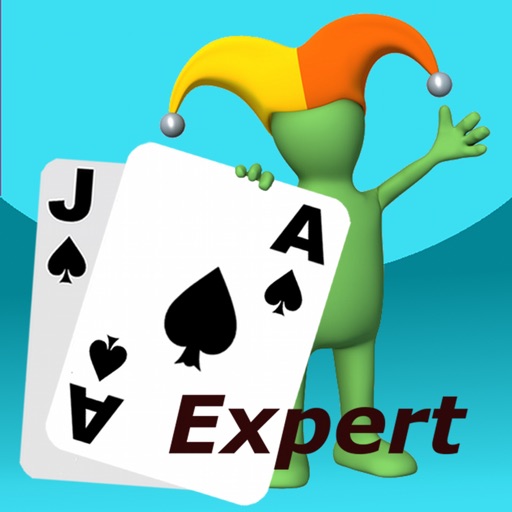 Blackjack Expert Icon