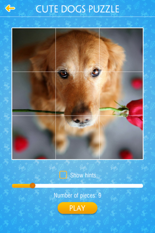 Cute Dogs Jigsaw Puzzles screenshot 2