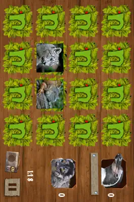 Game screenshot Memory Games with Nuremberg ZOO FREE for preschool children, schoolchildren and adults apk