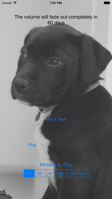 Puppy Calmer Screenshot