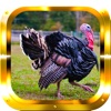 Turkey Hunting: Big Game Trophy Hunter