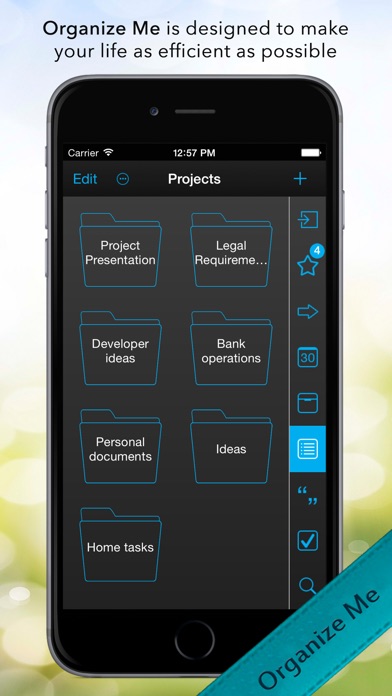 Organize Me for iPhone screenshot1