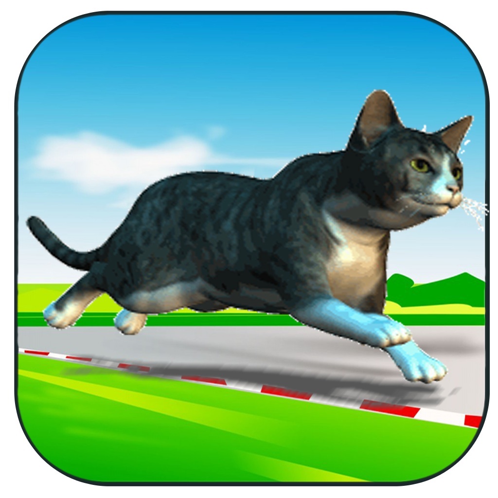 Cat Chase HD icon