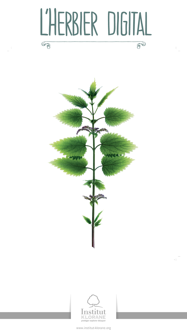 Digital Herbarium