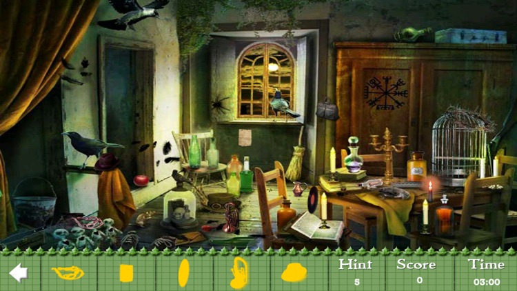 Silvan House Hidden Objects screenshot-4