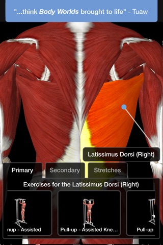 iMuscle 2 - iPhone Edition screenshot 2