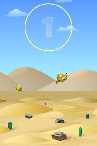 Tortoise Battle It Out screenshot 2