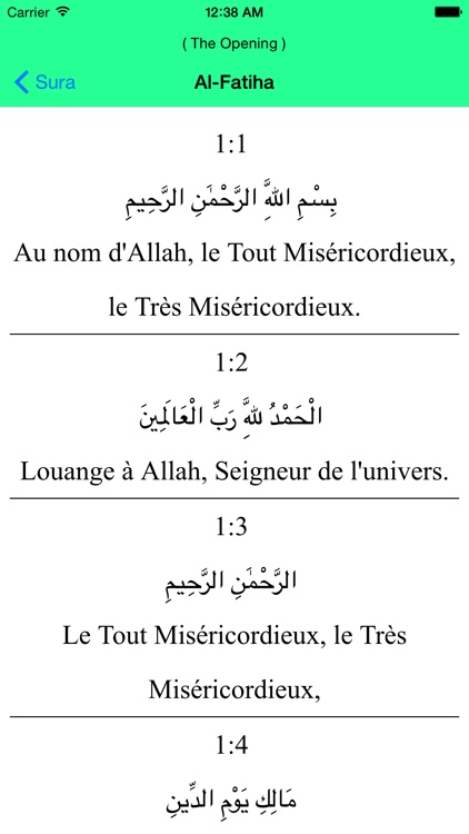 Al Quran - French