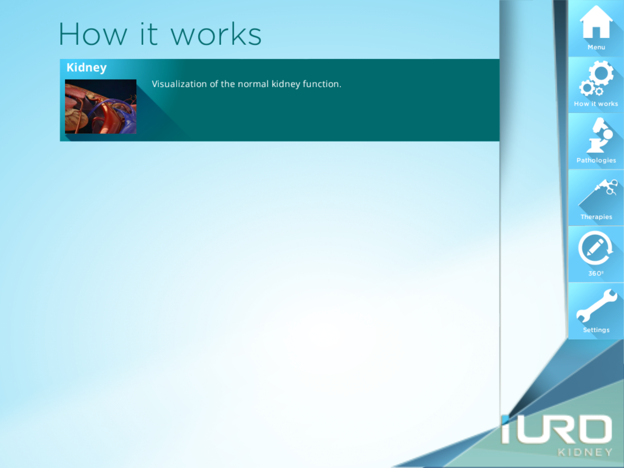 iURO Kidney Lite