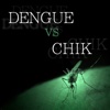 Dengue vs Chik