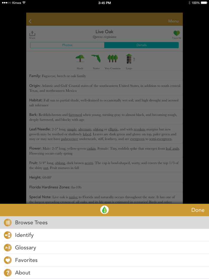 Trees North and Central Florida