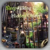 Hidden Objects:A Sleep Walking Child