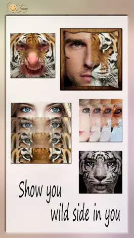Game screenshot InstaFace:face eyes blend morph with animal effect mod apk