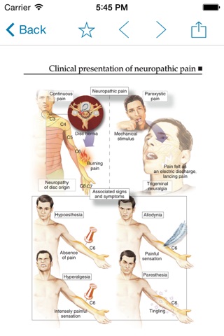 Miniatlas Neuropathic pain screenshot 3