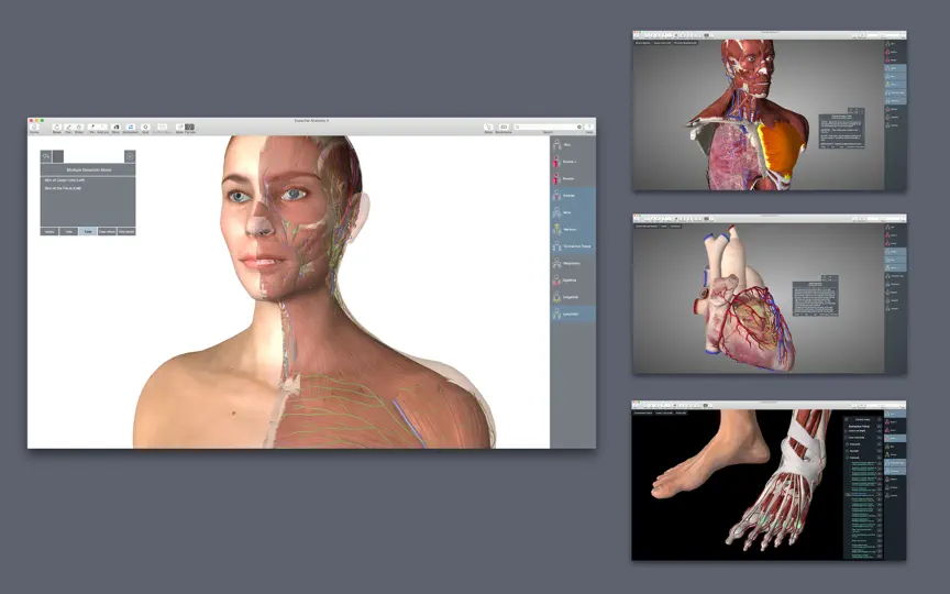 Скриншот Essential Anatomy 5 на iPhone 3