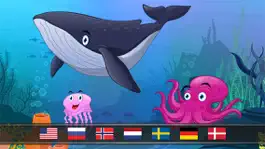 Game screenshot Peekaboo animals in the sea, ocean, lake and river for toddlers and babies apk