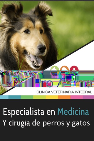 Clinica Integral Pro Animal screenshot 2