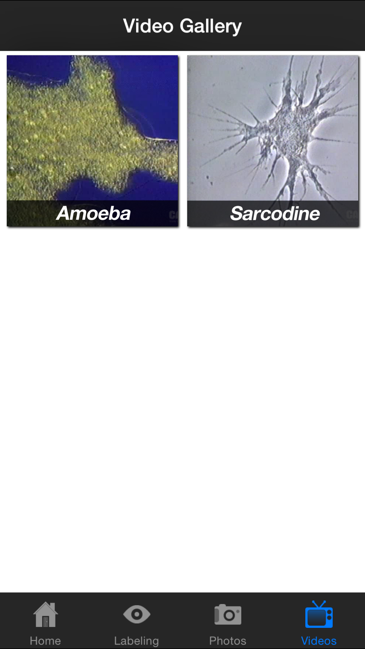 Protozoan Identification Free
